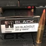 The current image has no alternative text. The file name is: blackout-300.jpg